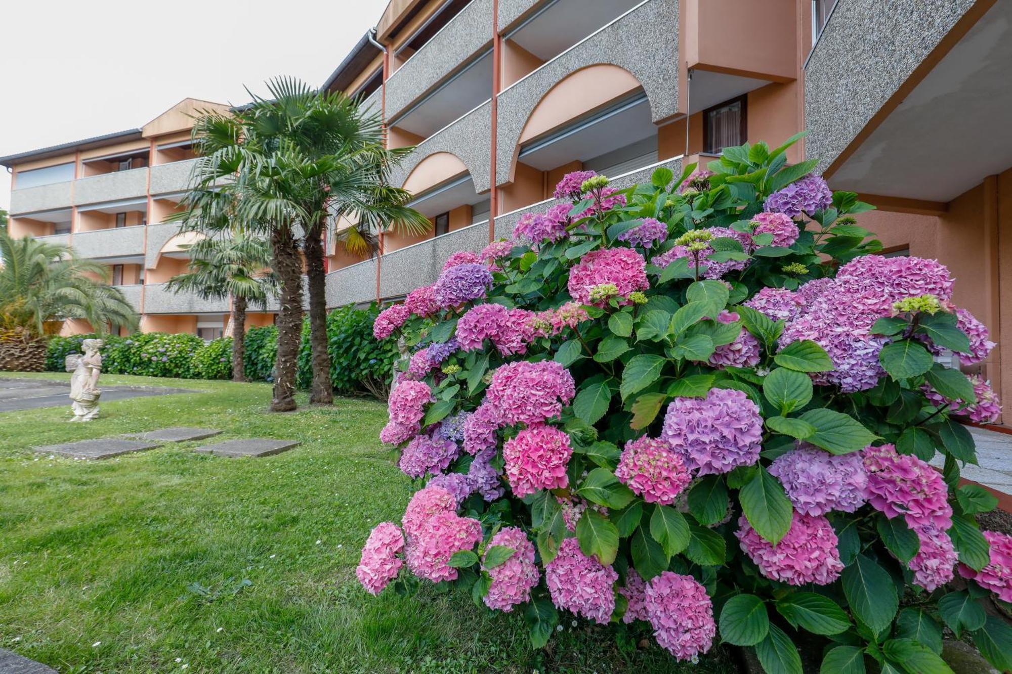 Les Terrasses De Borda*** Hotel Dax Exterior foto